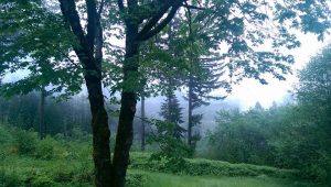 Hilltop in the rain