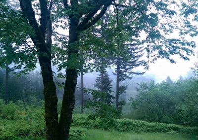 Hilltop in the rain